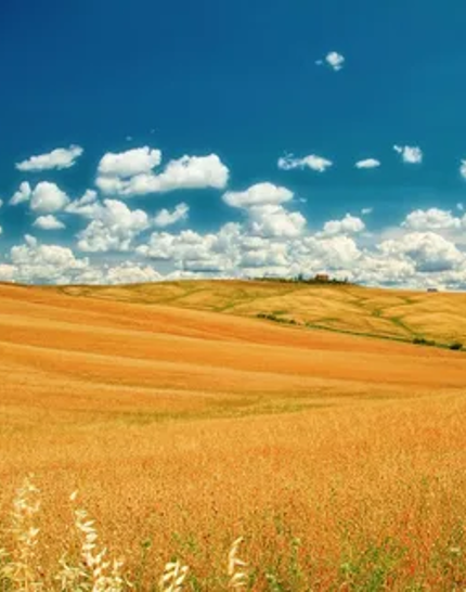 Устное народное творчество by Maria - Ourboox.com