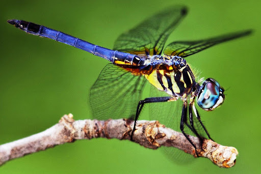 Природа навколо нас by Larisa - Ourboox.com