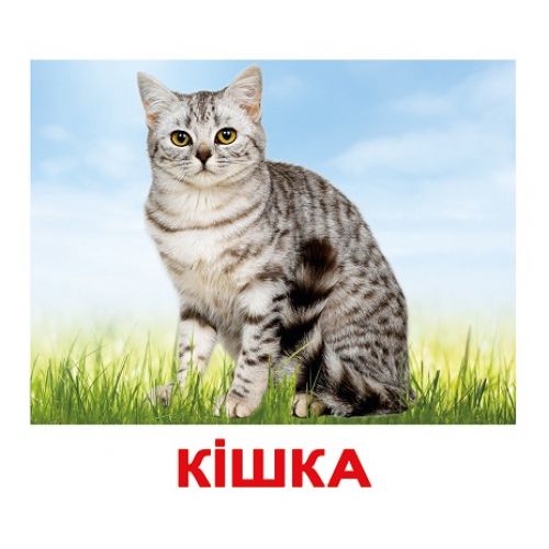 Свійські тварини by OLGA - Ourboox.com