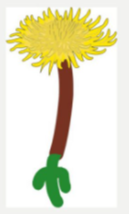 גרעין התא by nava levy - Ourboox.com