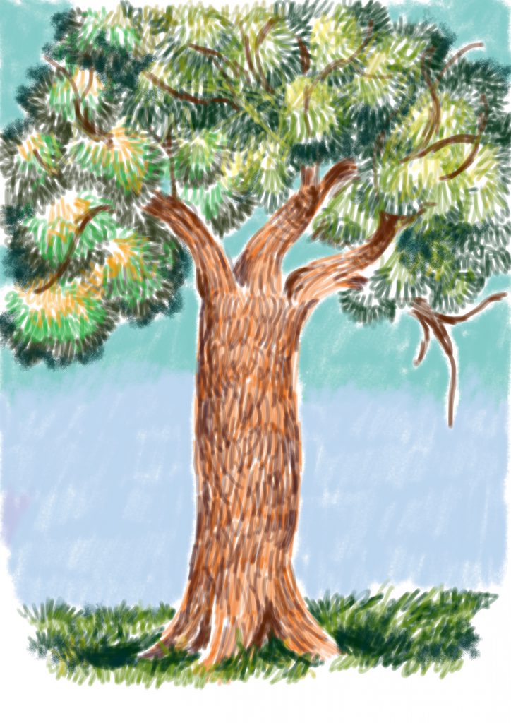 MY BOOK by MASSIMO CARPINTERI - Illustrated by MASSIMO - Ourboox.com