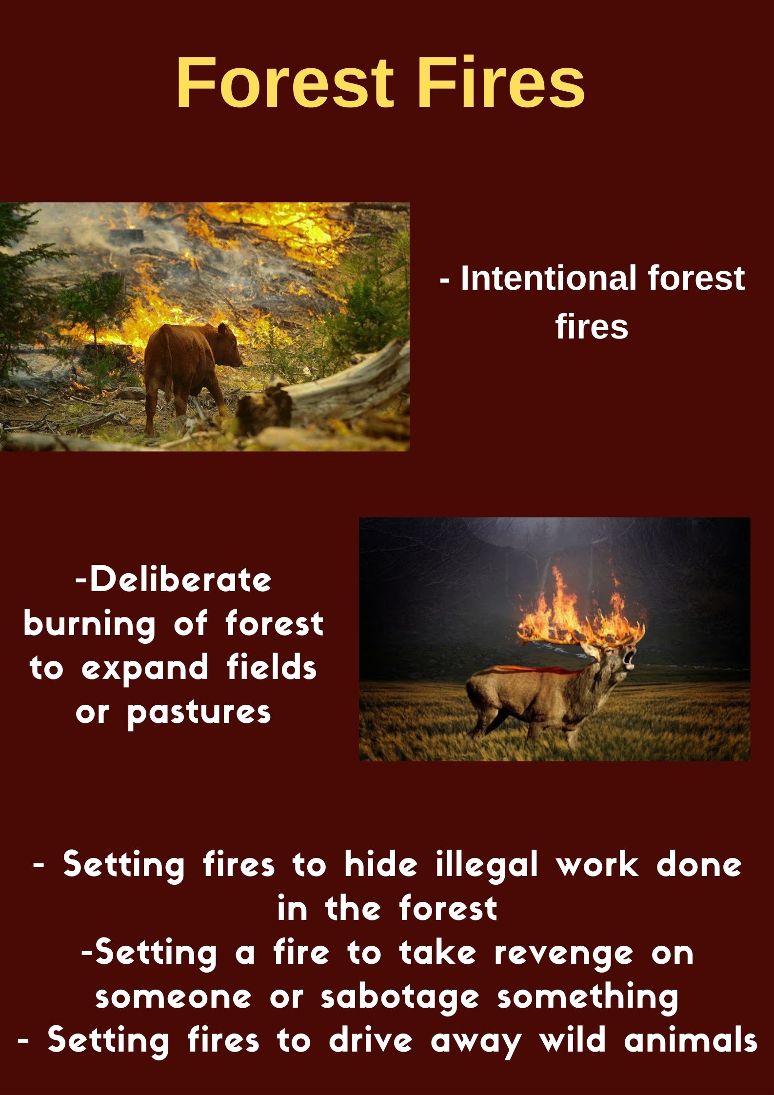 Newspaper Wednesday by MRT - Ourboox.com