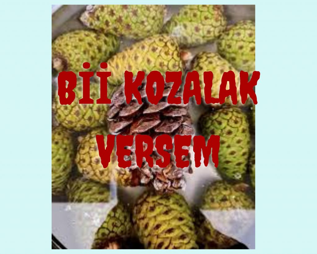 Bİİ KOZALAK VERSEM by Aysel ŞAHİN - Ourboox.com