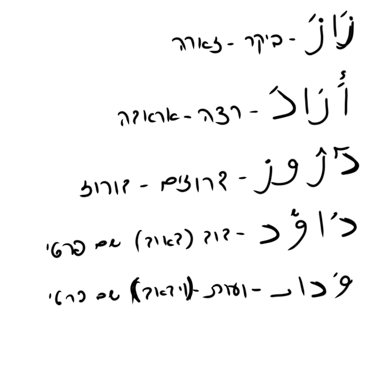 אוצר מילים דוד ארז by janet - Ourboox.com