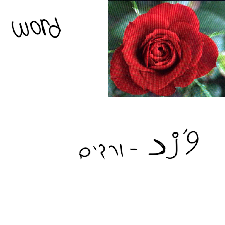 אוצר מילים דוד ארז by janet - Ourboox.com