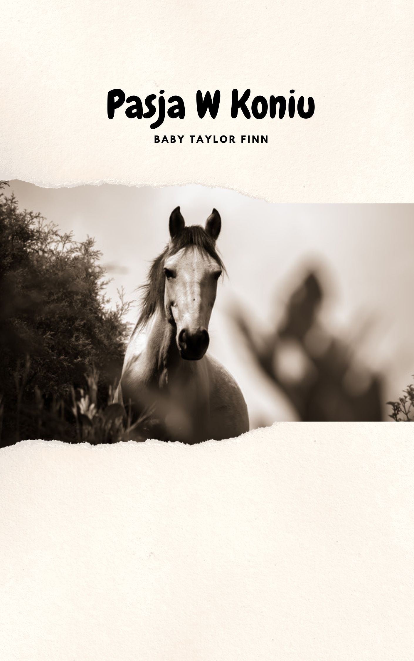 Polska moimi oczoiomami by .Zwariowana. - Ourboox.com