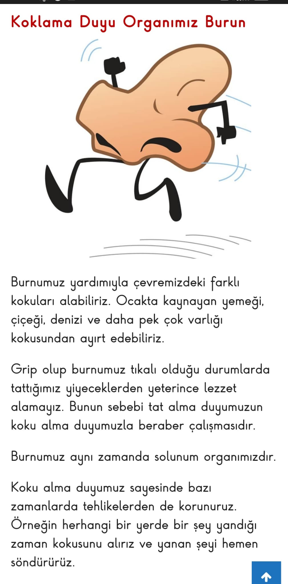 FEN BİLİMLERİ by Aysel ŞAHİN - Ourboox.com