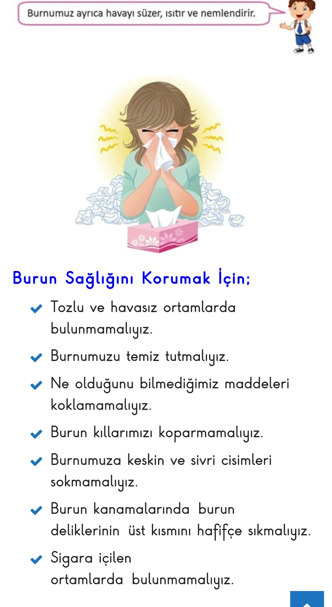 FEN BİLİMLERİ by Aysel ŞAHİN - Ourboox.com