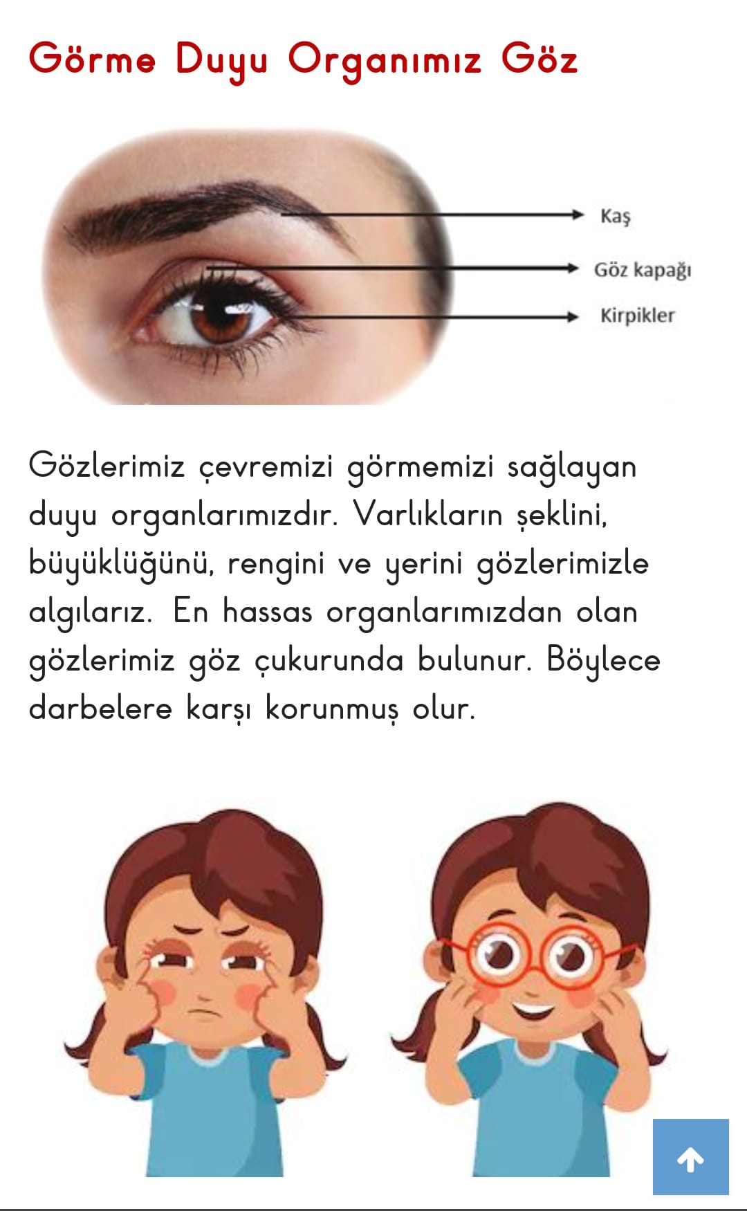 FEN BİLİMLERİ by Aysel ŞAHİN - Ourboox.com