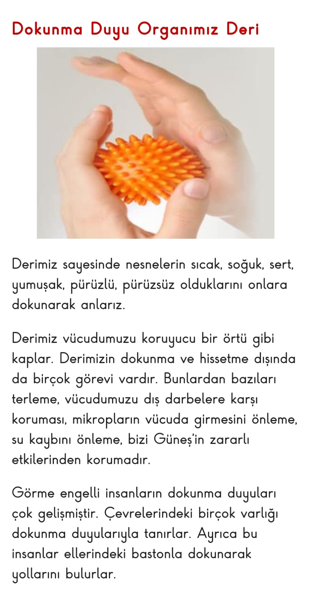 FEN BİLİMLERİ by Aysel ŞAHİN - Ourboox.com