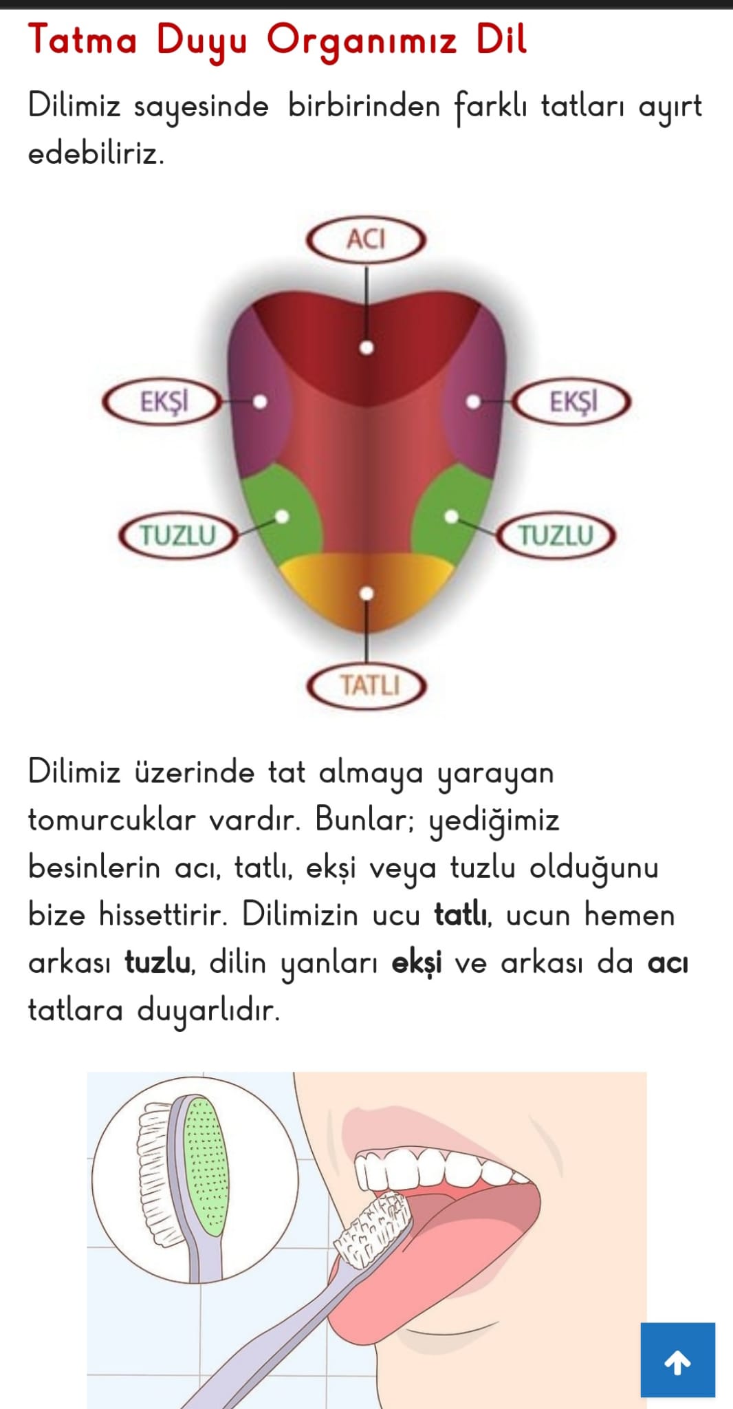 FEN BİLİMLERİ by Aysel ŞAHİN - Ourboox.com