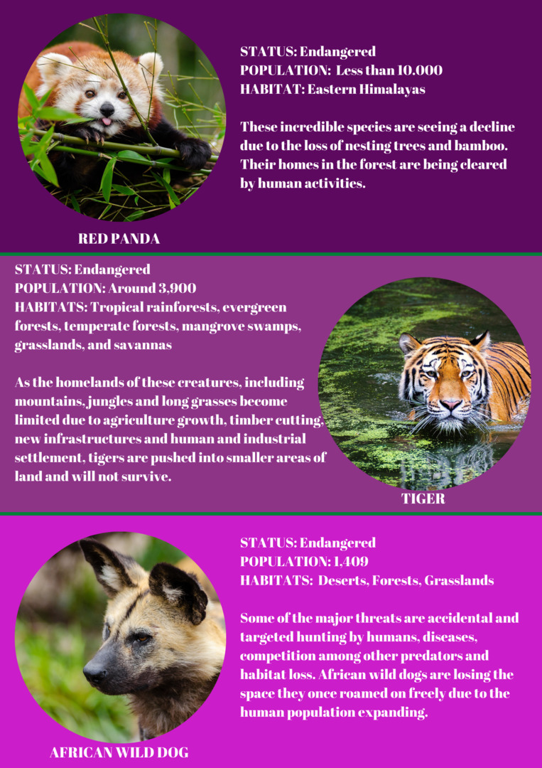 Newspaper Wednesday by MRT - Ourboox.com