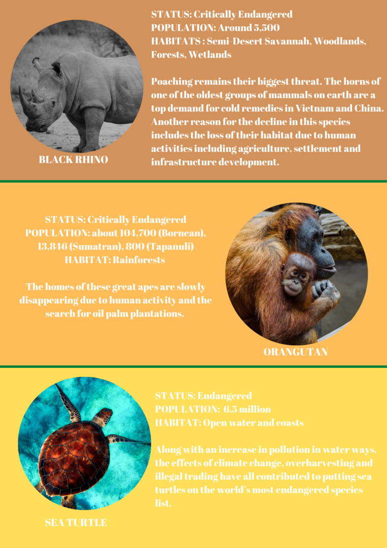 Newspaper Wednesday by MRT - Ourboox.com