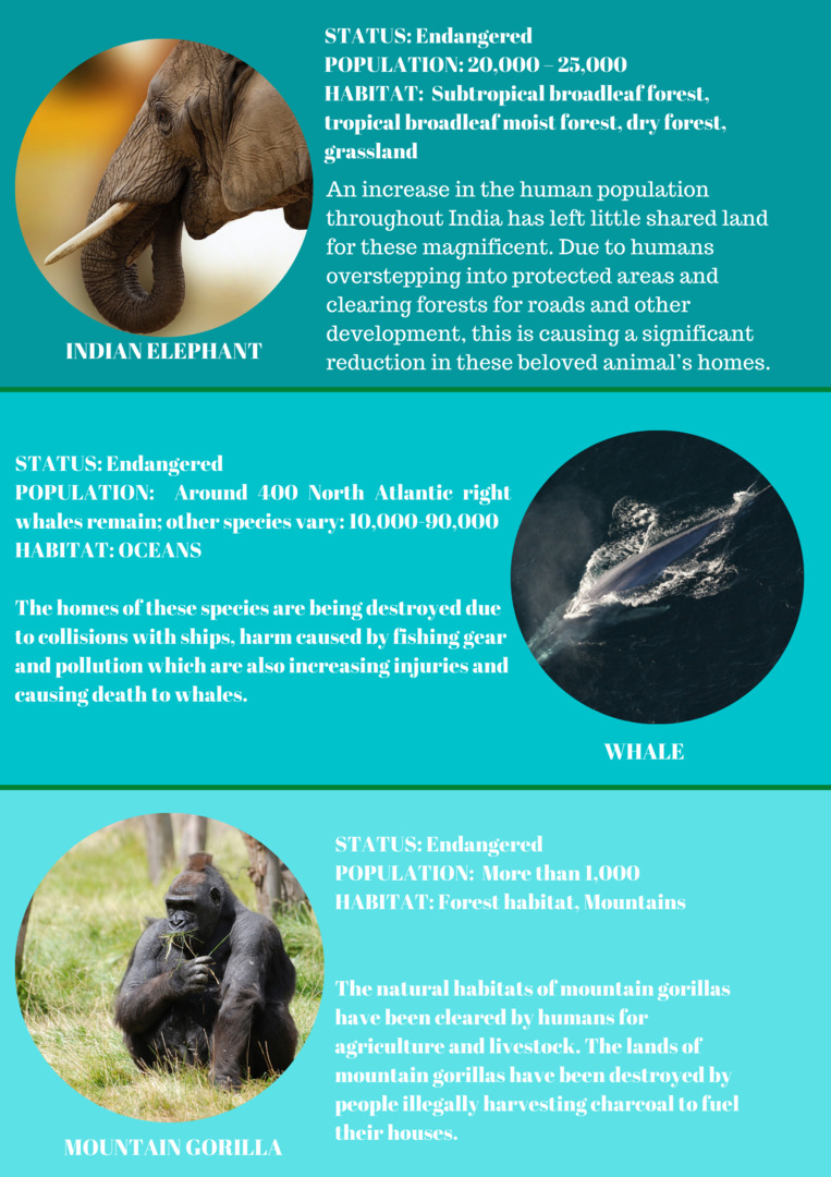 Newspaper Wednesday by MRT - Ourboox.com