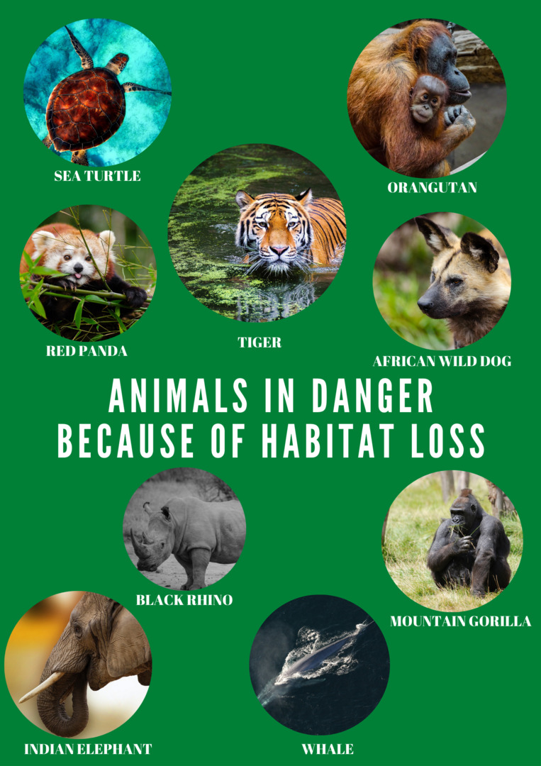 Newspaper Wednesday by MRT - Ourboox.com