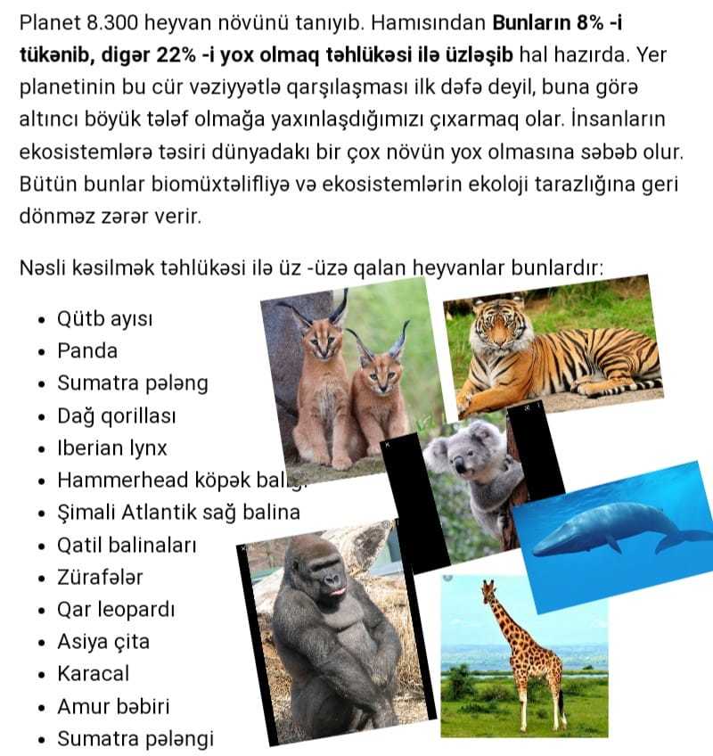 Newspaper Wednesday by MRT - Ourboox.com