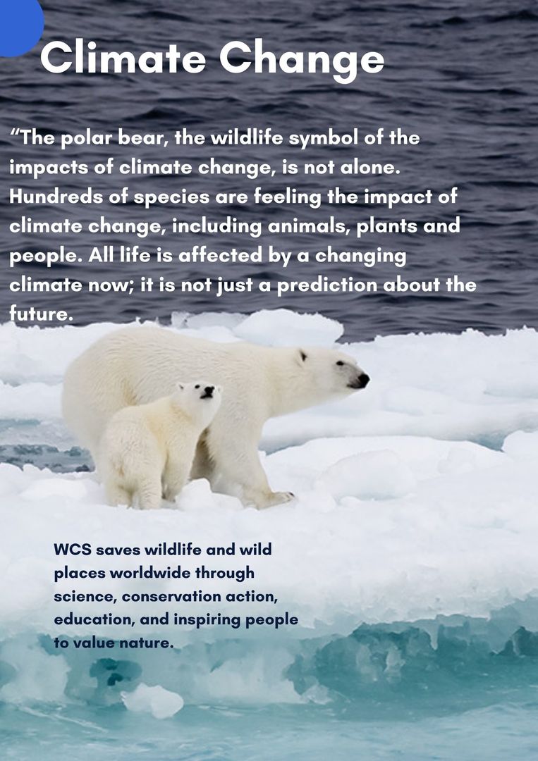 Newspaper Wednesday by MRT - Ourboox.com