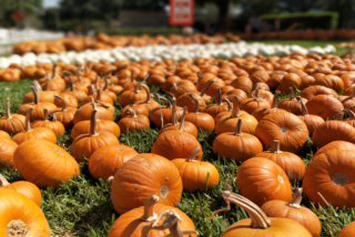 Demo by Filip - Ourboox.com