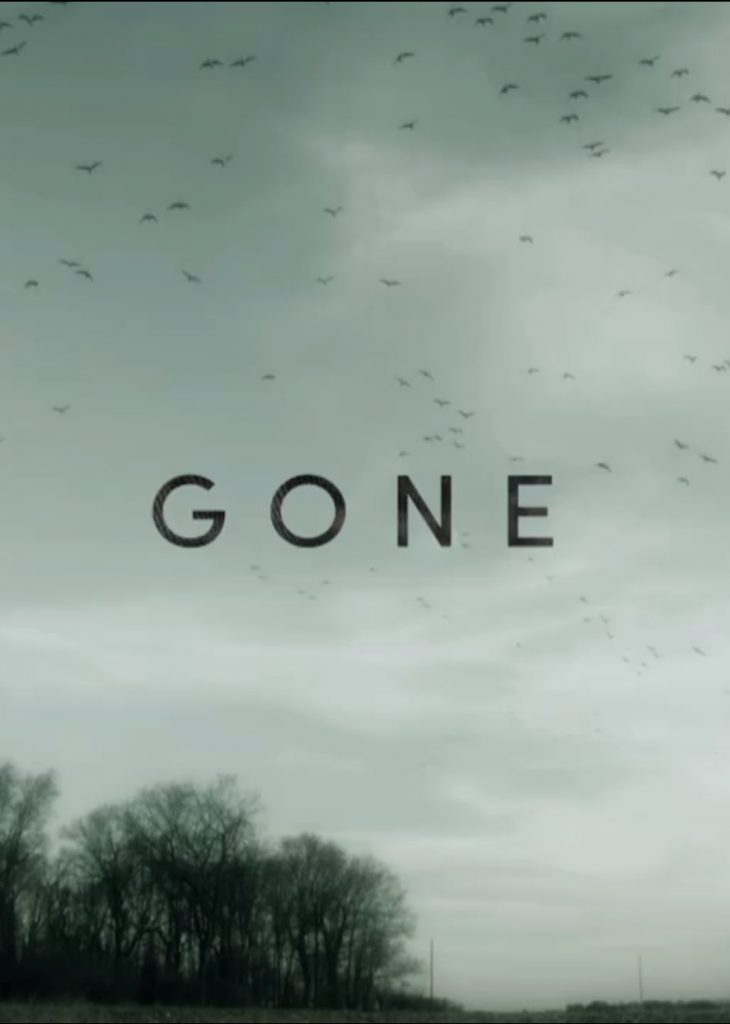 GONE GIRL by Orit Ben Atar - Ourboox.com