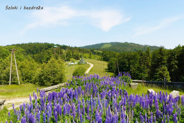 polska moimi oczami by Halina - Ourboox.com
