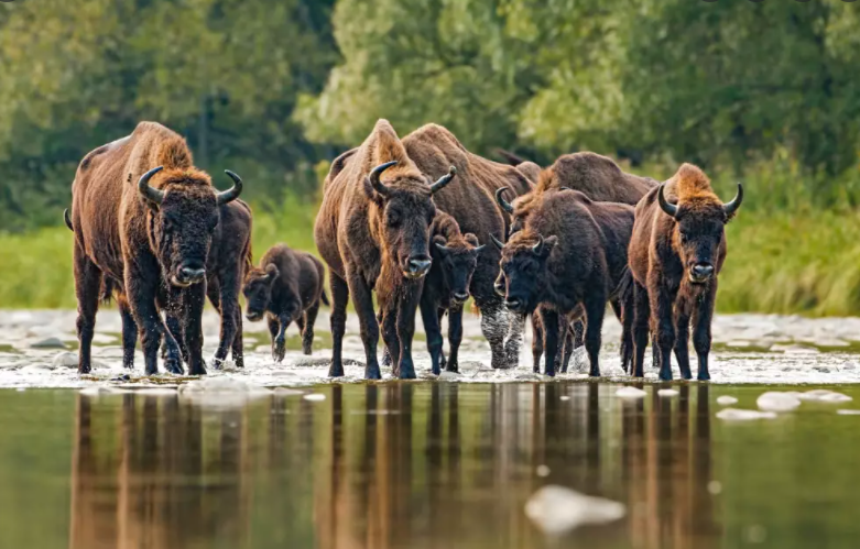 Polska moimi oczami by Ola - Ourboox.com