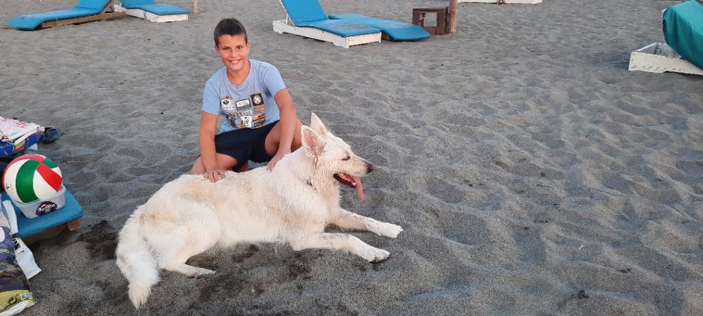 luka velimirovic nemacki by luka Velimirovic - Ourboox.com