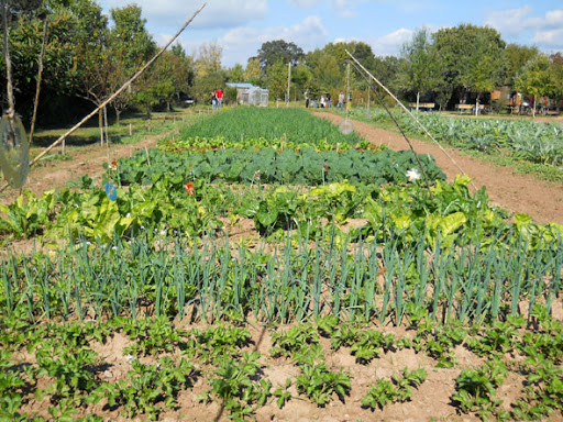 demo by Eloi - Ourboox.com