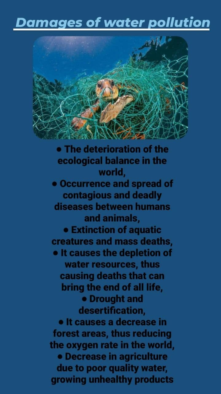 Newspaper Wednesday by MRT - Ourboox.com