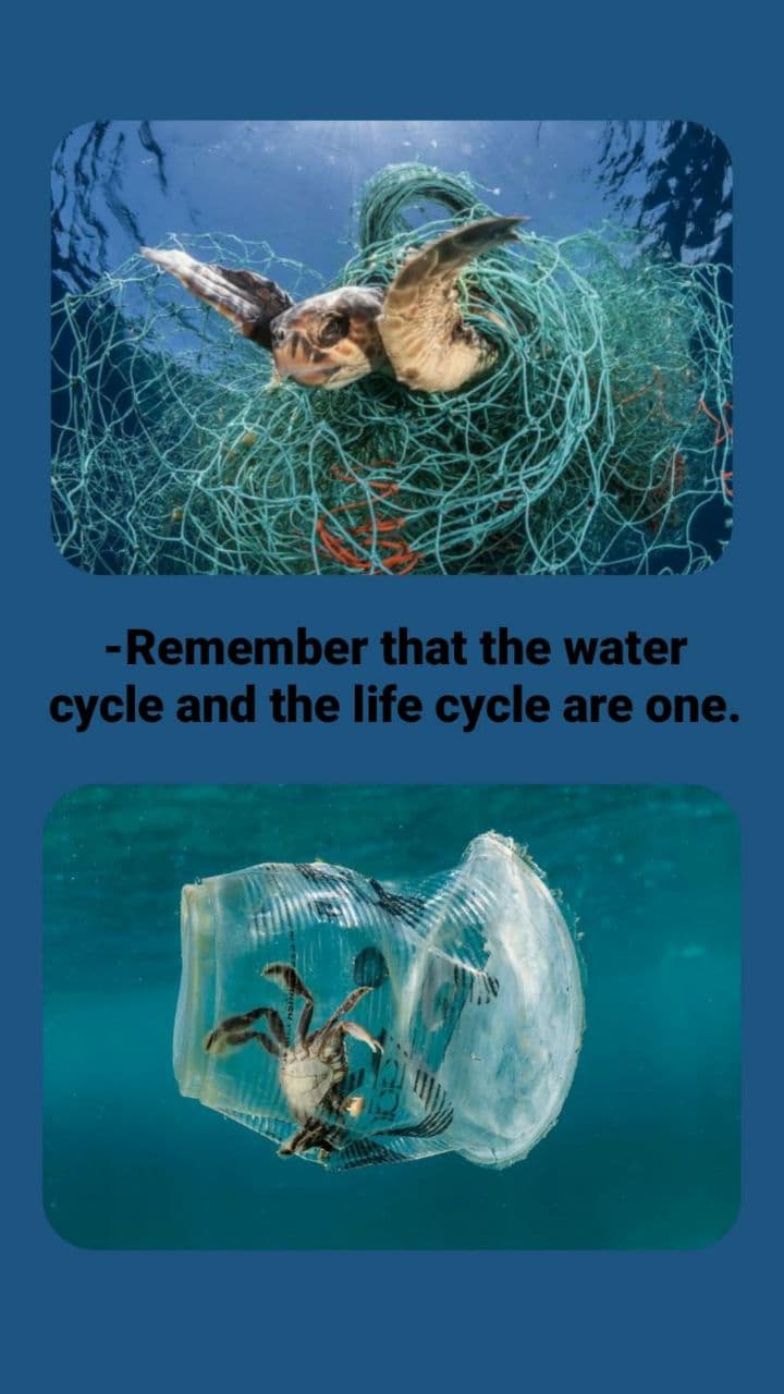 Newspaper Wednesday by MRT - Ourboox.com