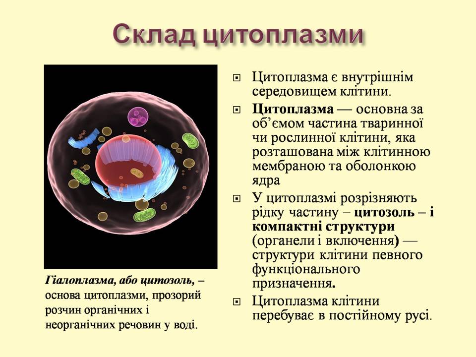 9 клас by Pidgorodetska Olena - Ourboox.com