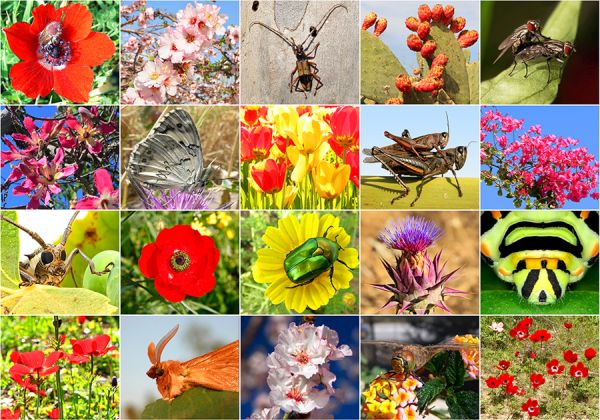 Ограничаване на климатичните промени by Emiliya Paneva - Ourboox.com