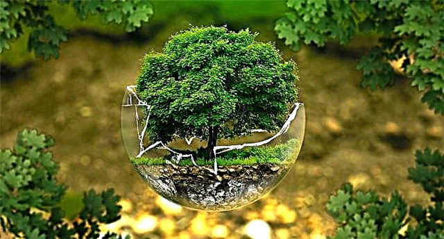 Ограничаване на климатичните промени by Emiliya Paneva - Ourboox.com