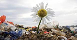 We can’t ignore our problems, but we can fix them. by Petya - Illustrated by Petya Petrova - Ourboox.com