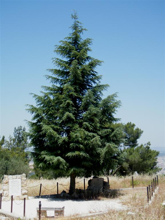 אוצר מילים בערבית by neta simon - Ourboox.com