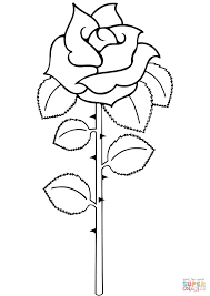 ערבית – אוצר מילים by Gal - Ourboox.com