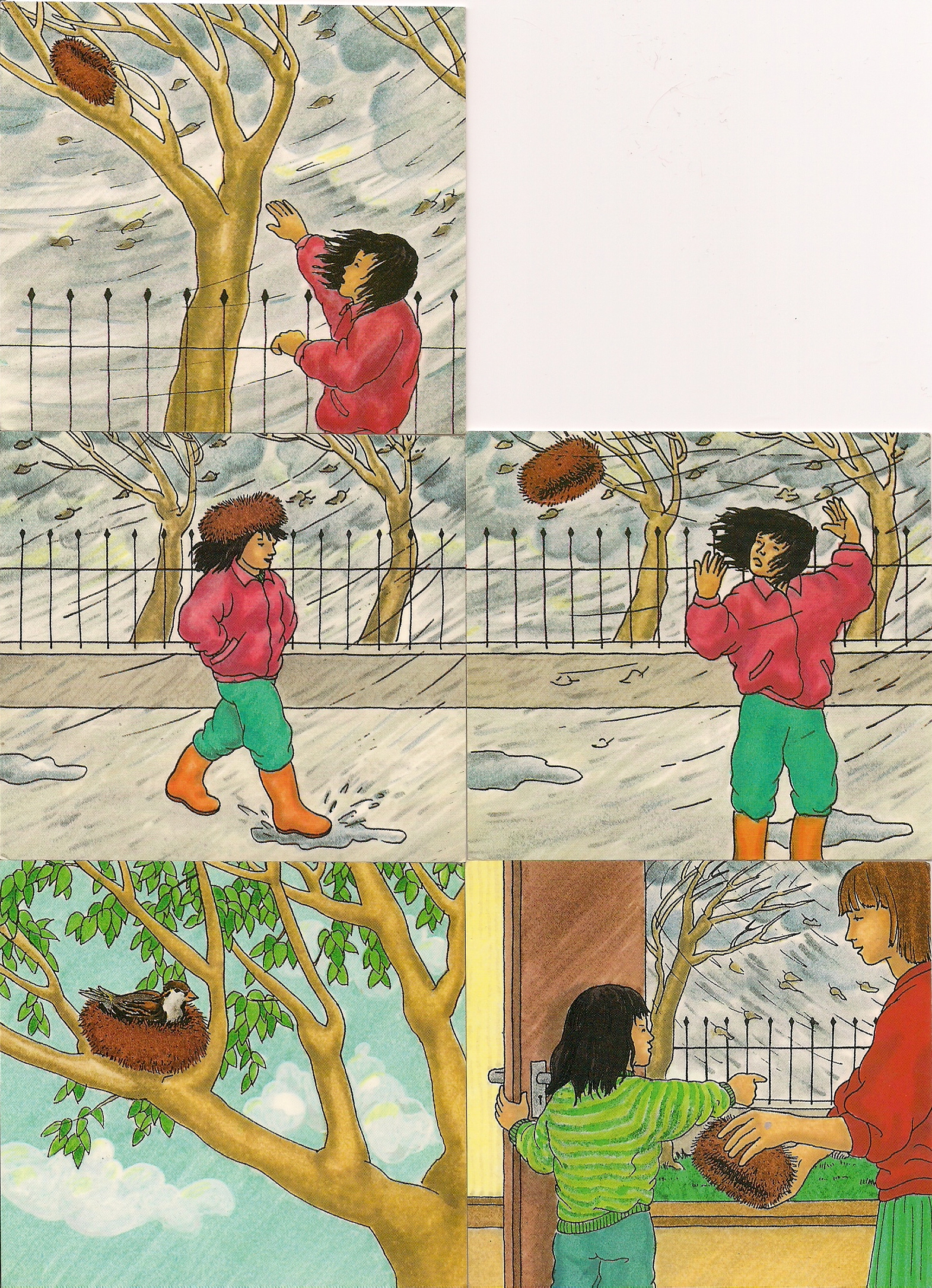 אוסף הסיפורים של כיתת אלמוג by Katia - Illustrated by כיתת אלמוג - Ourboox.com