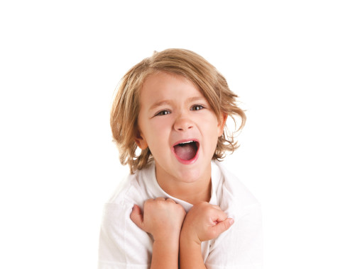 אוצר מילים של ארז דוד by Noa Tubul , Ori Dadush and Lior Haliva - Ourboox.com