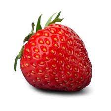 ארז דוד עומר טייב ושילה by omer taieb - Ourboox.com