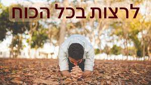 אוצר מילים של ארז דוד by Hori kadosh - Ourboox.com