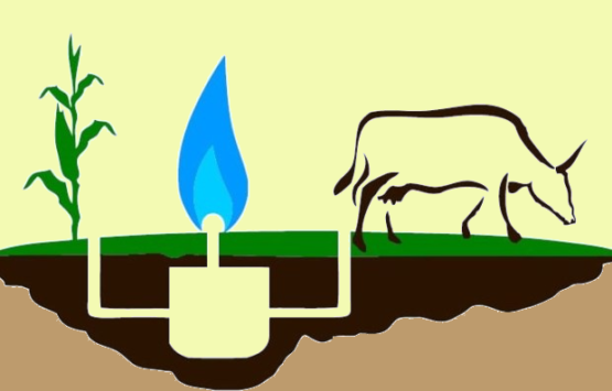 Біогаз by Ann Maksimova - Illustrated by Мета:показати та розповісти що таке біогаз - Ourboox.com