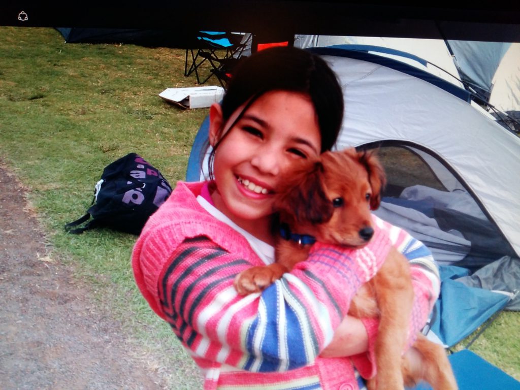 יום בחיי כלב by noy attias - Ourboox.com