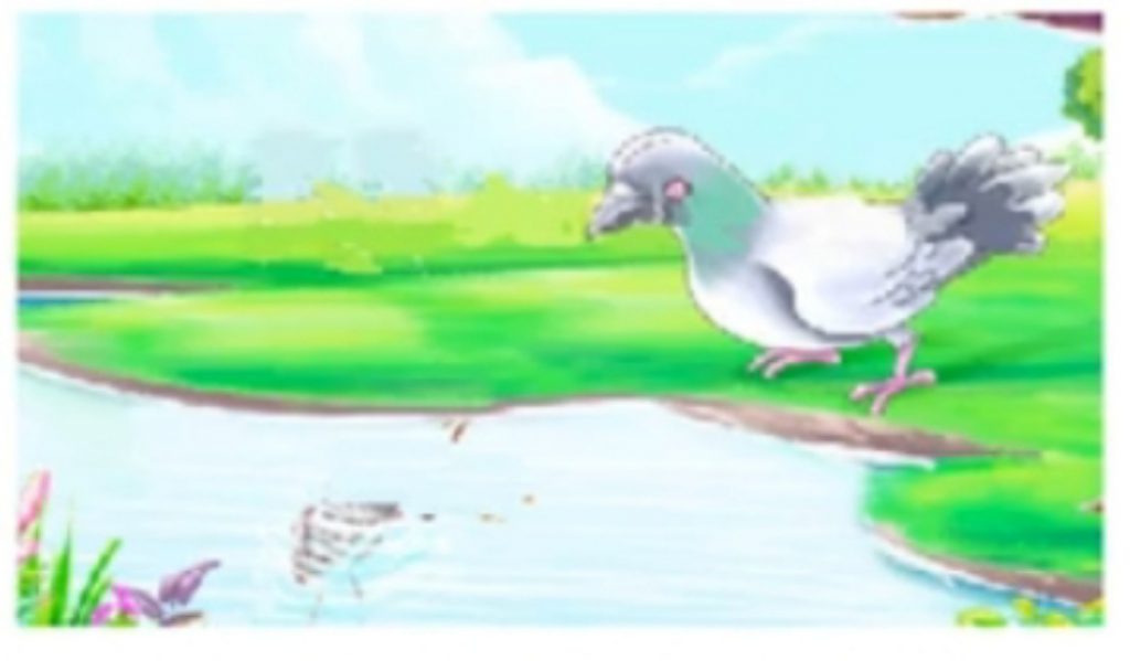 الحمامة الضائعة by walaa - Illustrated by تاليف:فاطمة سعيد - Ourboox.com