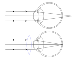 الحواس by Mustafa Barq - Ourboox.com