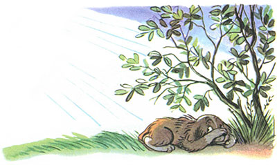 Kto skazal meow by Pogudina Darya - Illustrated by Погудина Дарья - Ourboox.com