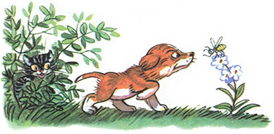 Kto skazal meow by Pogudina Darya - Illustrated by Погудина Дарья - Ourboox.com