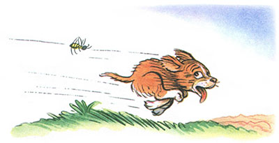 Kto skazal meow by Pogudina Darya - Illustrated by Погудина Дарья - Ourboox.com