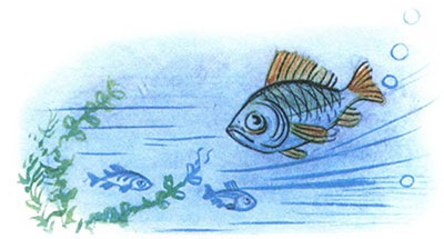 Kto skazal meow by Pogudina Darya - Illustrated by Погудина Дарья - Ourboox.com