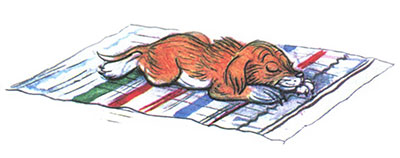 Kto skazal meow by Pogudina Darya - Illustrated by Погудина Дарья - Ourboox.com