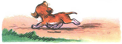 Kto skazal meow by Pogudina Darya - Illustrated by Погудина Дарья - Ourboox.com