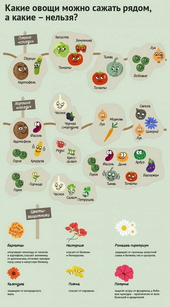 Советы садоводам и огородникам by Anastasia - Illustrated by Иваничева Анастасия - Ourboox.com